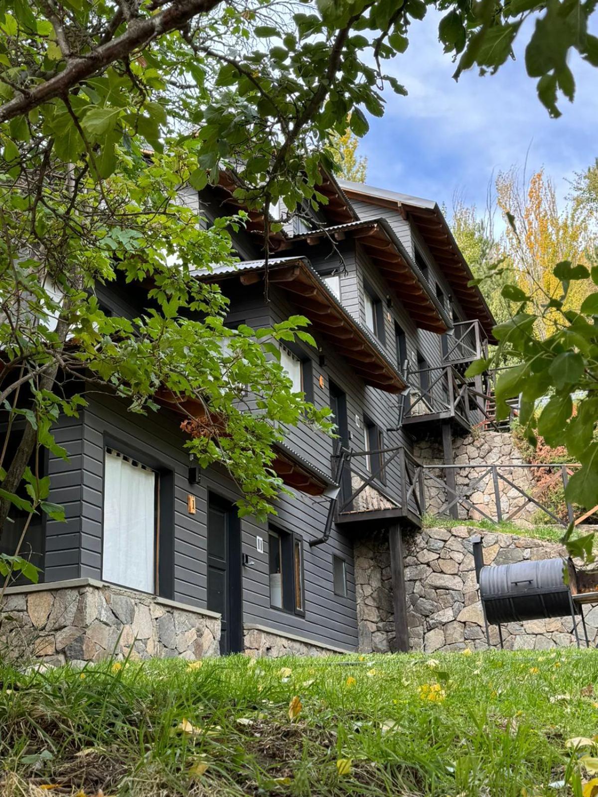 הוילה San Martín de los Andes Huilen De Bandurrias מראה חיצוני תמונה