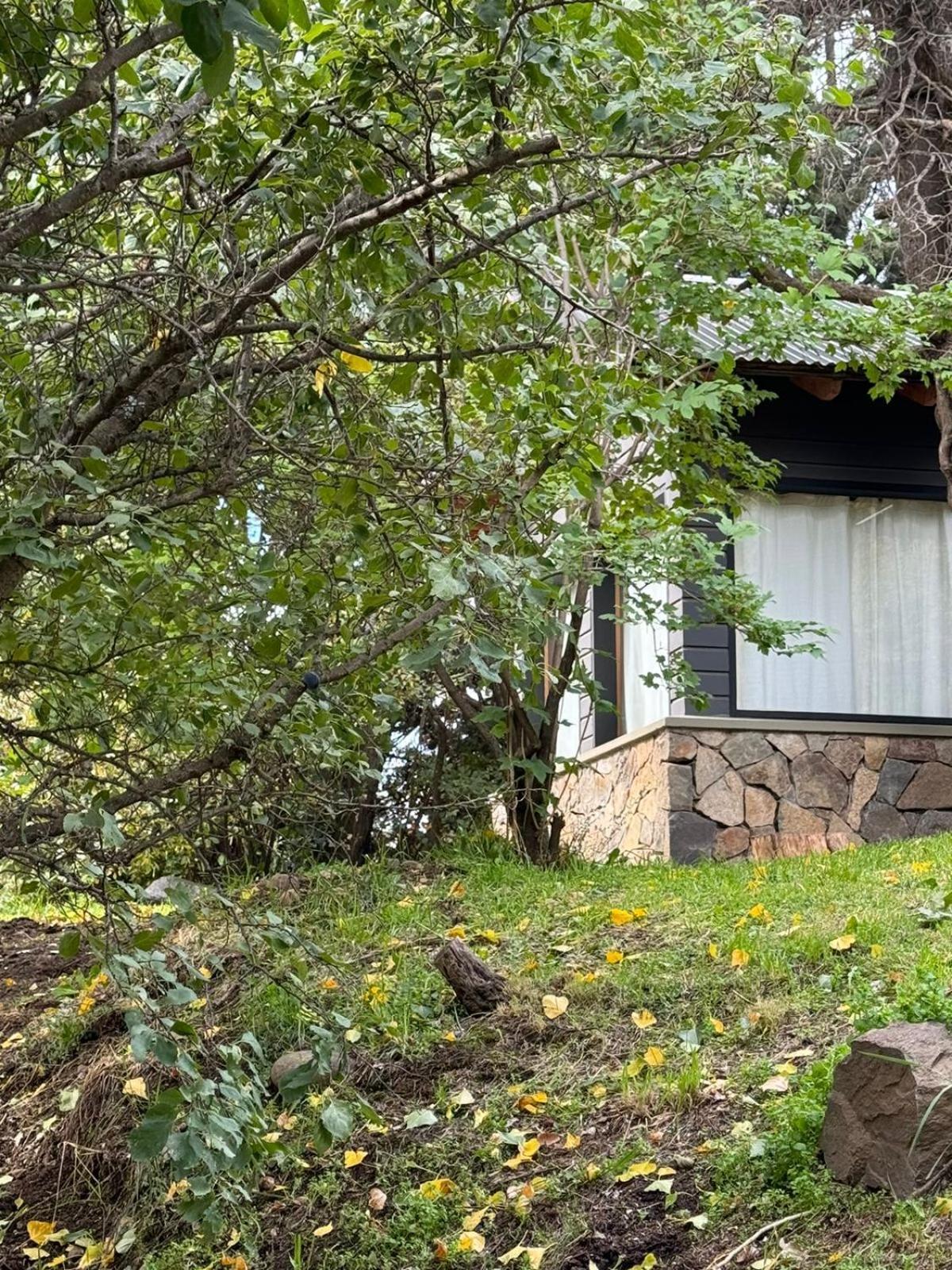 הוילה San Martín de los Andes Huilen De Bandurrias מראה חיצוני תמונה
